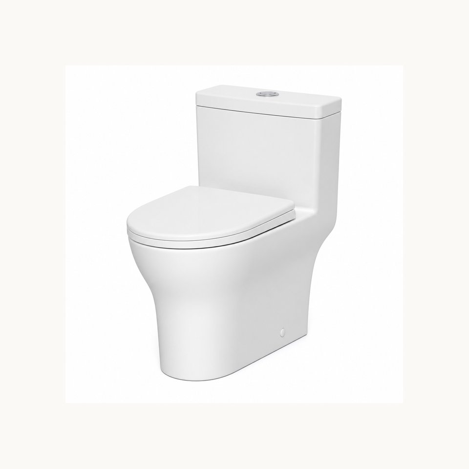 One-Piece Toilet